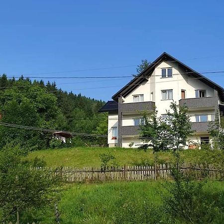 Casa Danci Centru Villa Borşa Dış mekan fotoğraf