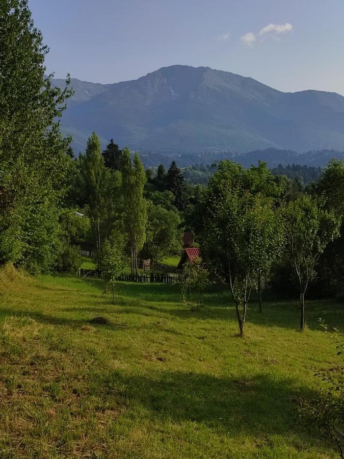 Casa Danci Centru Villa Borşa Dış mekan fotoğraf