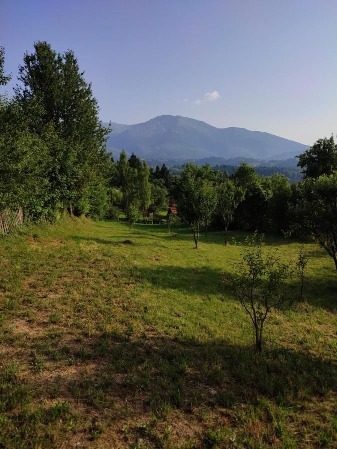 Casa Danci Centru Villa Borşa Dış mekan fotoğraf