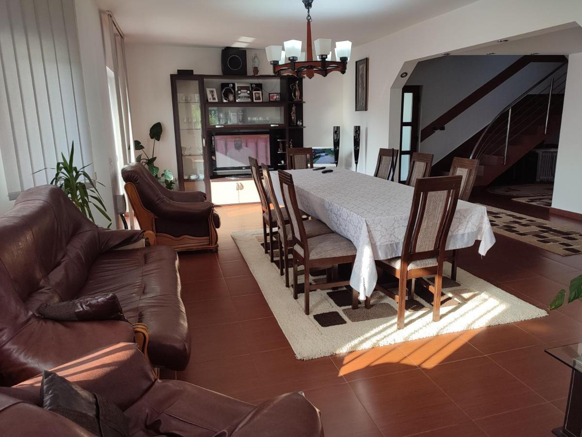 Casa Danci Centru Villa Borşa Dış mekan fotoğraf