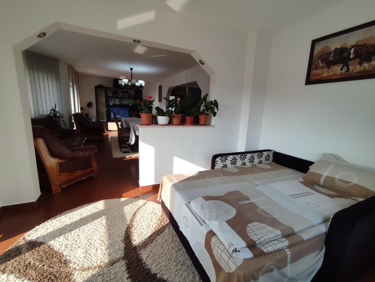 Casa Danci Centru Villa Borşa Dış mekan fotoğraf