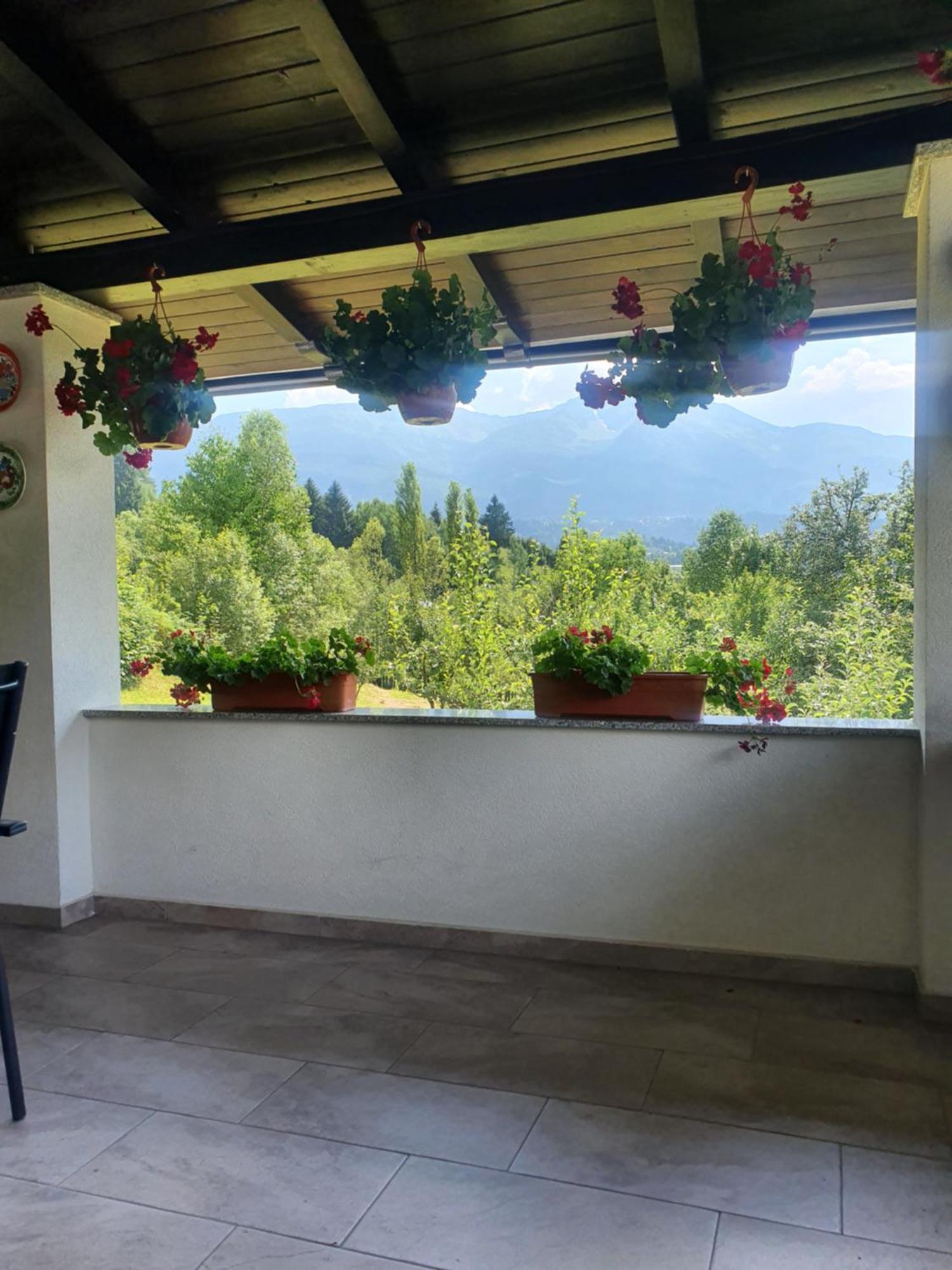 Casa Danci Centru Villa Borşa Dış mekan fotoğraf